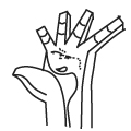 mano